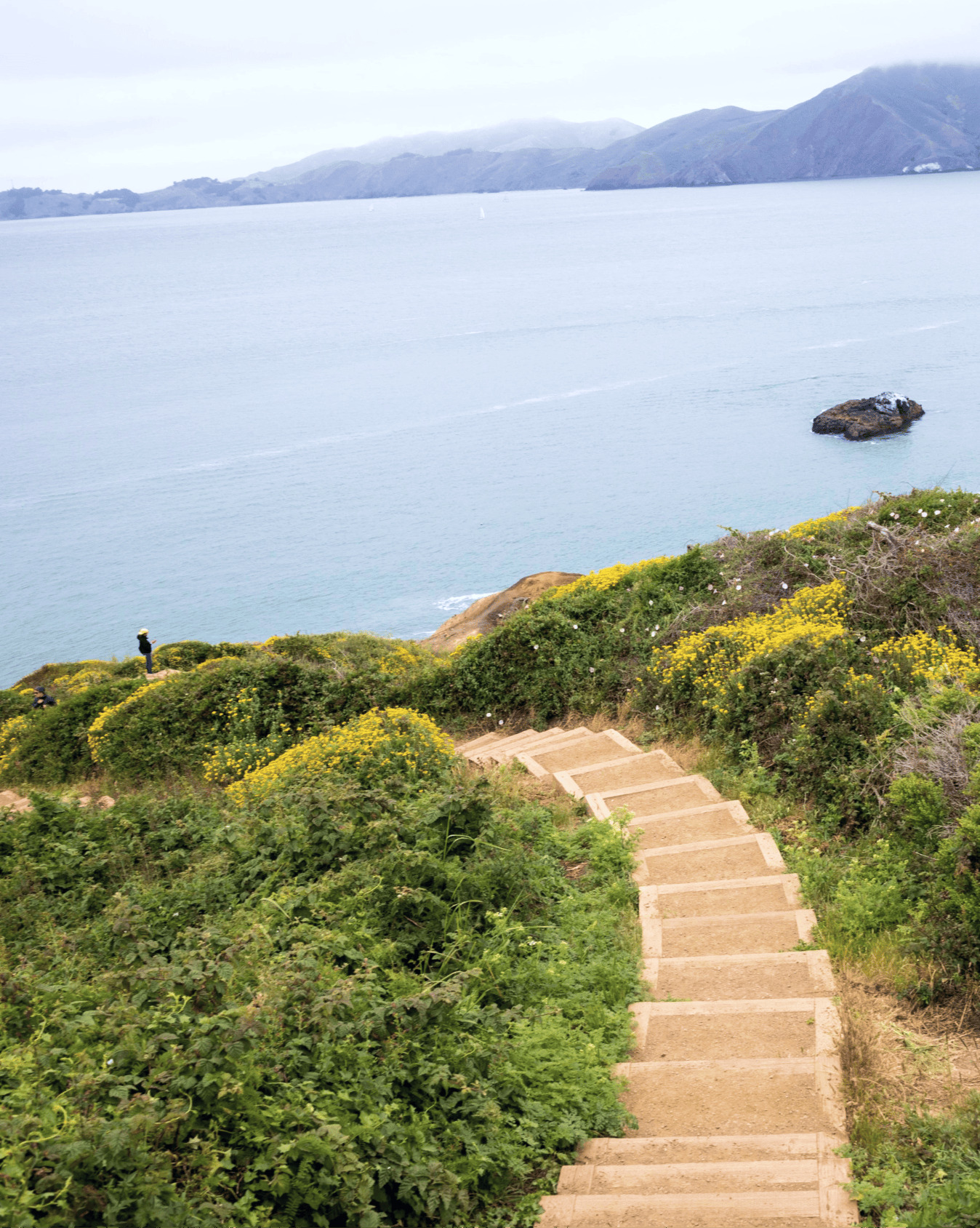 Coastal staircase trail overlooking the ocean and green hills.