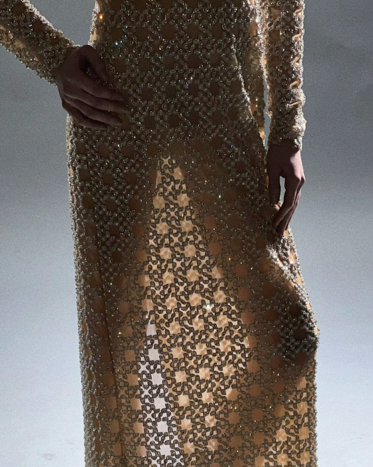 Simkhai embellished sheer fabric featuring densely beaded crystal textures layered over geometric lace-inspired mesh panels