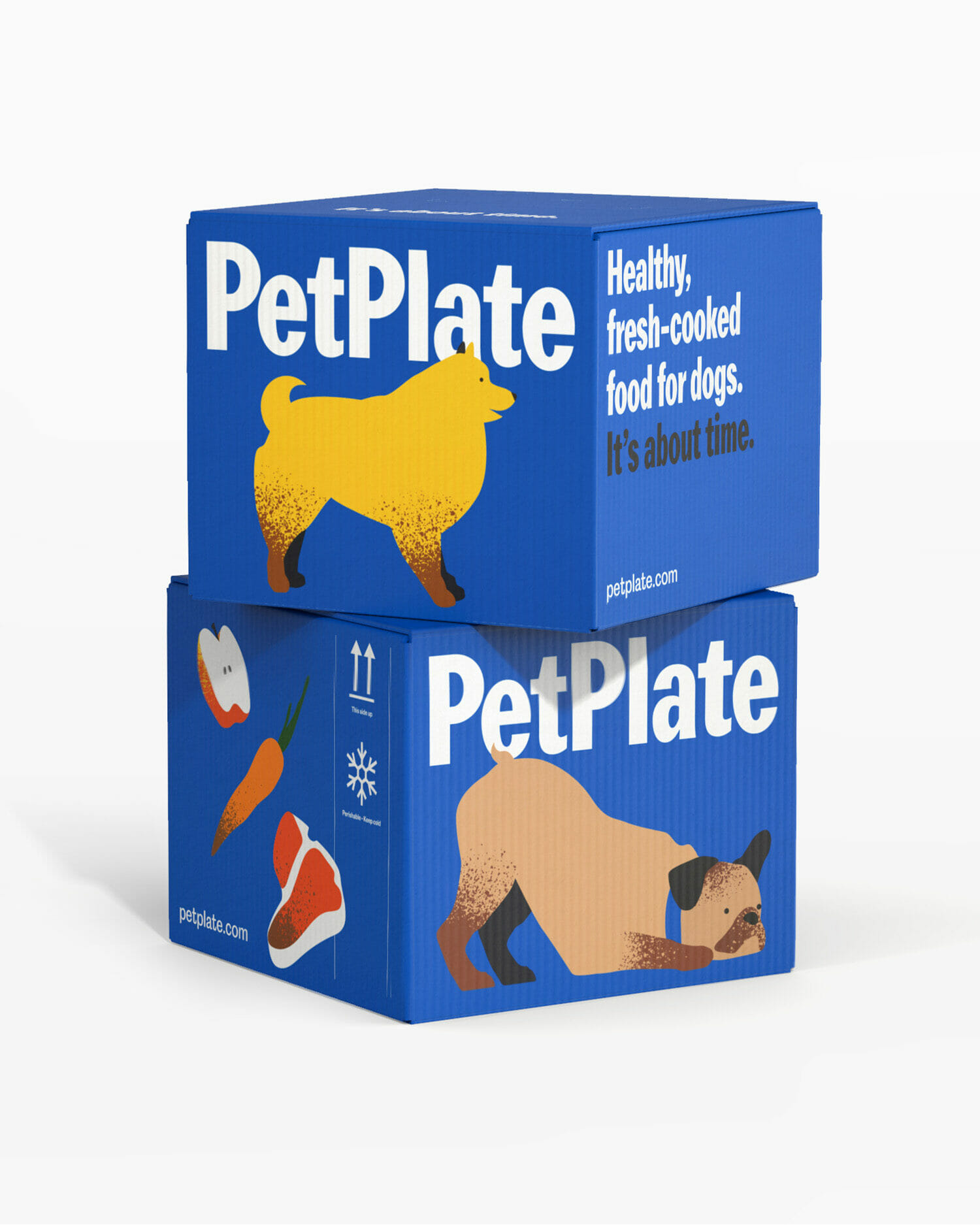 PetPlate packaging system featuring an eco-friendly shipping carton with vibrant natural illustrations, bold branding, and a clean design that communicates quality, freshness, and trust.
